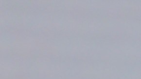 Frida Sofía | Mezcalent.