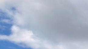 Todos los cruceros en EE.UU. presentan contagio de la COVID-19, reportan los CDC