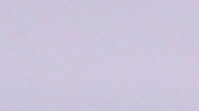 Aracely Arámbula | Mezcalent.