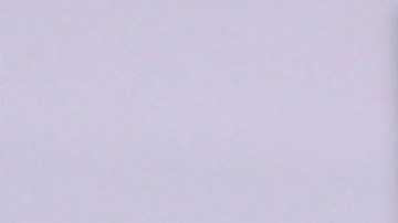 Aracely Arámbula | Mezcalent.