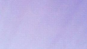 Erika Buenfil y su hijo Nicolás.