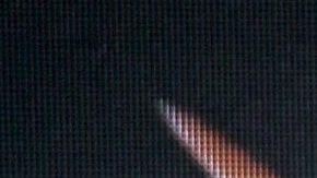 Belinda | Mezcalent.