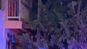 Macabro hallazgo en México: 4 cadáveres en un rancho.