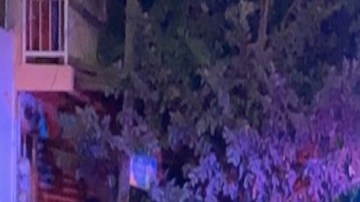 Macabro hallazgo en México: 4 cadáveres en un rancho.