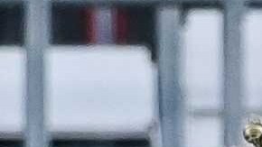 El Barcelona pretende a Tagliafico del Ajax.