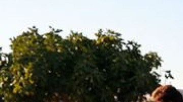 Brasil tiene la primera muerte por Ómicron; la primera en Latinoamérica