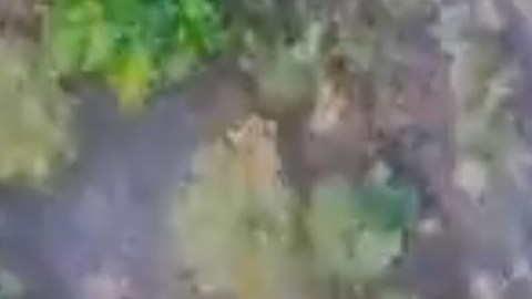 Supuesto ataque del CJNG con drones registrado en enero de 2022.