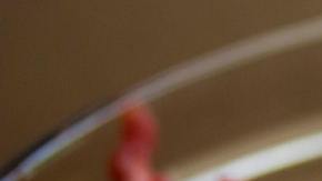 Carne molida vendida en Kroger y Walmart en retiro de supermercados tras encontrarse E. coli