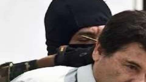 El Chapo y el Canelo Álvarez están conectados por el amor a una mujer.