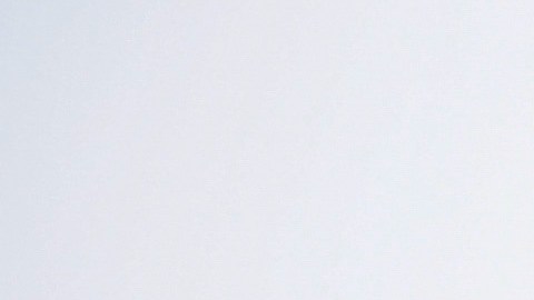 Afición del América.