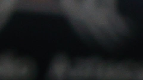 Craig Harrington, entrenador del América femenil está envuelto en la polémica.