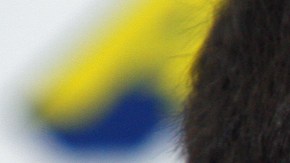 Cuauhtémoc Blanco, ex futbolista político mexicano.