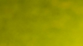 Gremio v Internacional - Brasileirao 2021