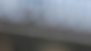 Queretaro v Monterrey - Torneo Apertura 2021 Liga MX