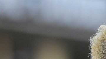 Queretaro v Monterrey - Torneo Apertura 2021 Liga MX