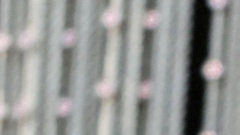 Egan Bernal ya se despertó luego de haber sufrido un accidente de tránsito.
