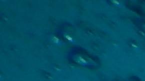 Empresa ofrece 'entierro' ecológico en el cual el cuerpo hierve hasta descomponerse a 300 grados