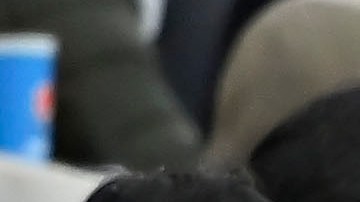 La afición protagonizó un nuevo acto de violencia en el fútbol mexicano.