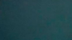 México y EE.UU. lanzan plan de 101 acciones del Entendimiento Bicentenario