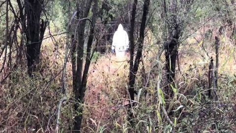 Hallan narcofosas al norte de México, tras captura de jefe del Cártel de Sinaloa.