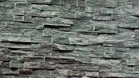 Familiares, amigos y colegas le dieron el último adiós a Lourdes Maldonado, en Tijuana.