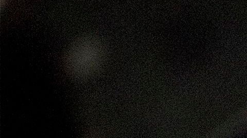 Elon Musk anunció que Tesla aceptará dogecoin como pago