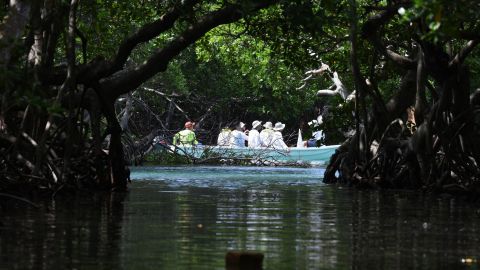 Roatán, Honduras.