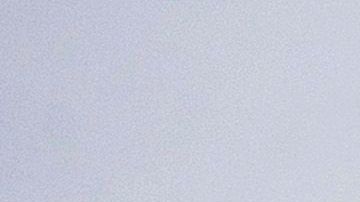 CJ Bostic, la primera azafata afroamericana de Southwest Airlines, murió a los 73 años