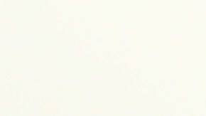 Harry y Meghan Markle