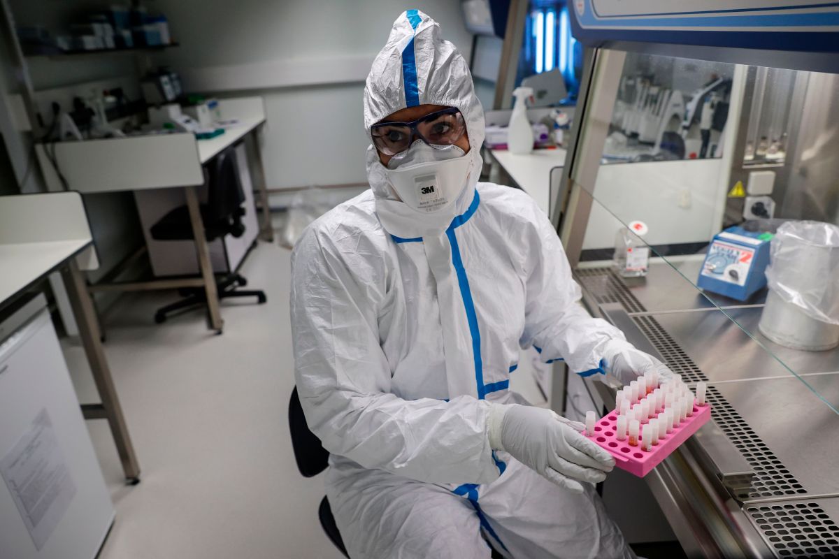 They discover a new variant of the coronavirus in France;  they do not know its danger and origin