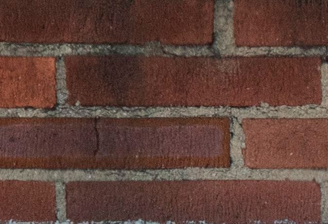 COVID: UCLA regresa a clases presenciales después de cuatro semanas de actividad en forma remota