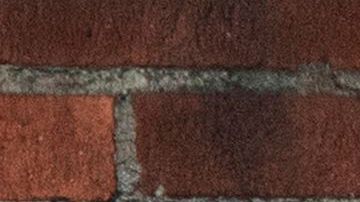 COVID: UCLA regresa a clases presenciales después de cuatro semanas de actividad en forma remota