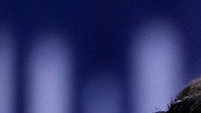 Diego Alonso dirigió al Inter de Miami de la MLS.