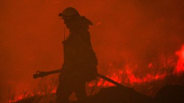 A firefighter holds a hose as the Blue Ridge Fire continues to burn in Yorba Linda, California, October 26, 2020. - Some 60,000 people fled their homes near Los Angeles on October 26 as a fast-spreading wildfire raged across more than 7,200 acres (3,000 hectares), blocking key roadways and critically injuring two firefighters. (Photo by Robyn Beck / AFP) (Photo by ROBYN BECK/AFP via Getty Images)