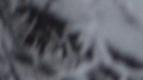 Massachusetts Ciclón Bomba