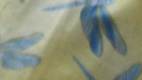 Canadá otorga indemnización millonaria para compensar a las familias indígenas separadas por el gobierno