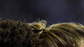 Ricardo Pepi abandonó la MLS con destino a la Bundesliga alemana.