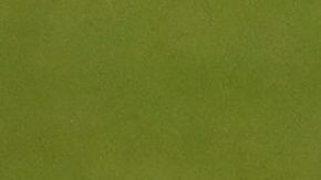 El técnico del Tri, Gerardo "Tata" Martino, cuenta con los hombres necesarios, a pesar de las faltas.