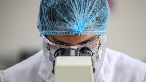 Científicos descubren proteínas que podrían ser responsables del origen de la vida similares a "Bloques de LEGO"