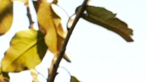 La pobreza ya era un problema para Afganistán, pero la pandemia lo ha agudizado.