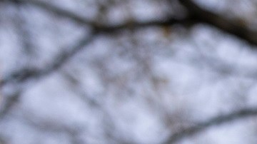 Organizaciones civiles presionan por una protección para indocumentados.