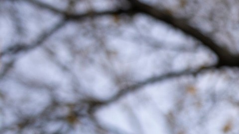 Organizaciones civiles presionan por una protección para indocumentados.