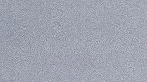 FOTO: Commander, el pastor alemán de los Biden, realiza su primer viaje a la playa