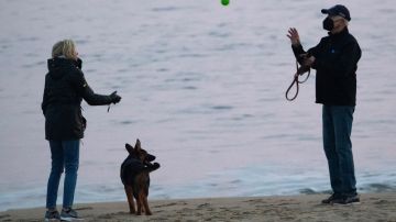 FOTO: Commander, el pastor alemán de los Biden, realiza su primer viaje a la playa
