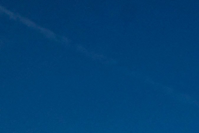 A float Creating Wildlife Allies participates in the 133rd Rose Parade in Pasadena, California, January 1, 2022. - The parade features floral floats, marching bands and equestrian units to ring in the New Year along the 5.5 mile (8.8 km) route along Colorado Blvd in Pasadena. (Photo by RINGO CHIU / AFP) (Photo by RINGO CHIU/AFP via Getty Images)