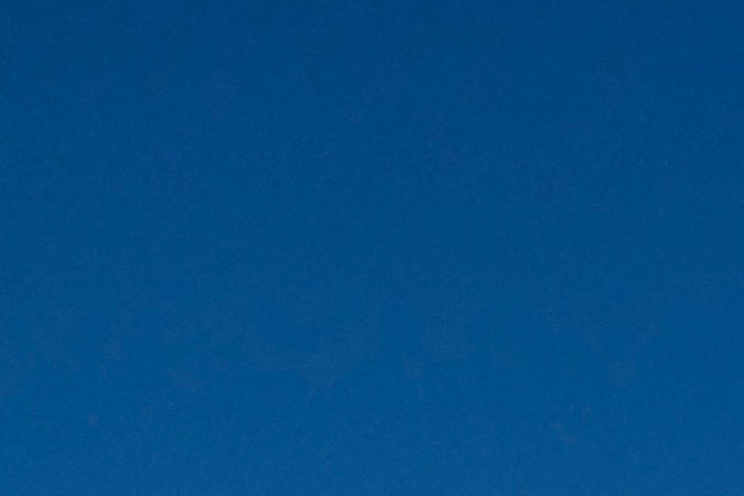 A float Celebrating 100 Years of Believing in Dream participates in the 133rd Rose Parade in Pasadena, California, January 1, 2022. - The parade features floral floats, marching bands and equestrian units to ring in the New Year along the 5.5 mile (8.8 km) route along Colorado Blvd in Pasadena. (Photo by RINGO CHIU / AFP) (Photo by RINGO CHIU/AFP via Getty Images)