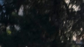 La carroza del Instituto Lundquist de innovación biomédica desfila el 1 de enero de 2022 en Pasadena.