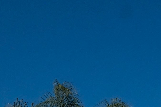 California Physical Therapy Associations float participates in the 133rd Rose Parade in Pasadena, California, January 1, 2022. - The parade features floral floats, marching bands and equestrian units to ring in the New Year along the 5.5 mile (8.8 km) route along Colorado Blvd in Pasadena. (Photo by RINGO CHIU / AFP) (Photo by RINGO CHIU/AFP via Getty Images)