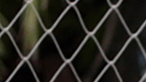 Los jugadores argentinos se quejaron de las condiciones en Chile.