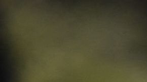 Estatua de Kobe Bryant y su Gianna en el lugar del accidente.